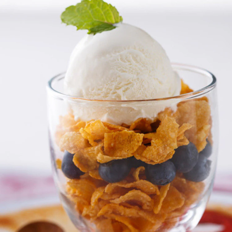 cuisinart compressor ice cream 