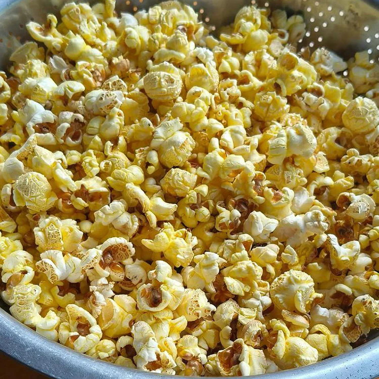 cuisinart easypop hot air popcorn maker