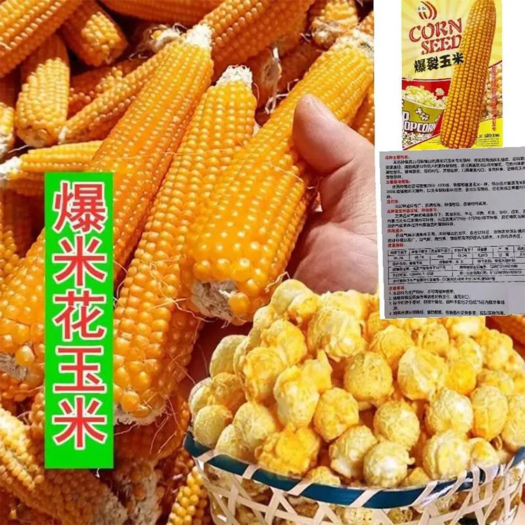 popcorn maker in Thailand