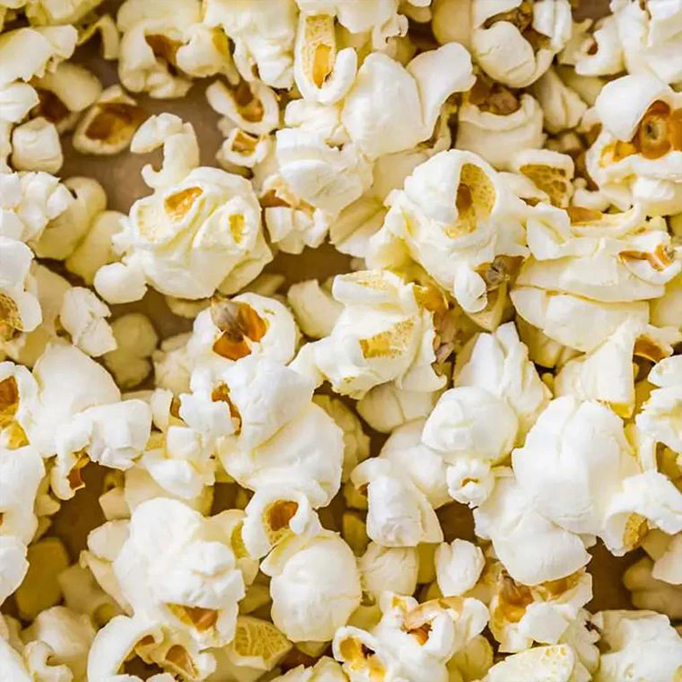 cuisinart easypop hot air popco