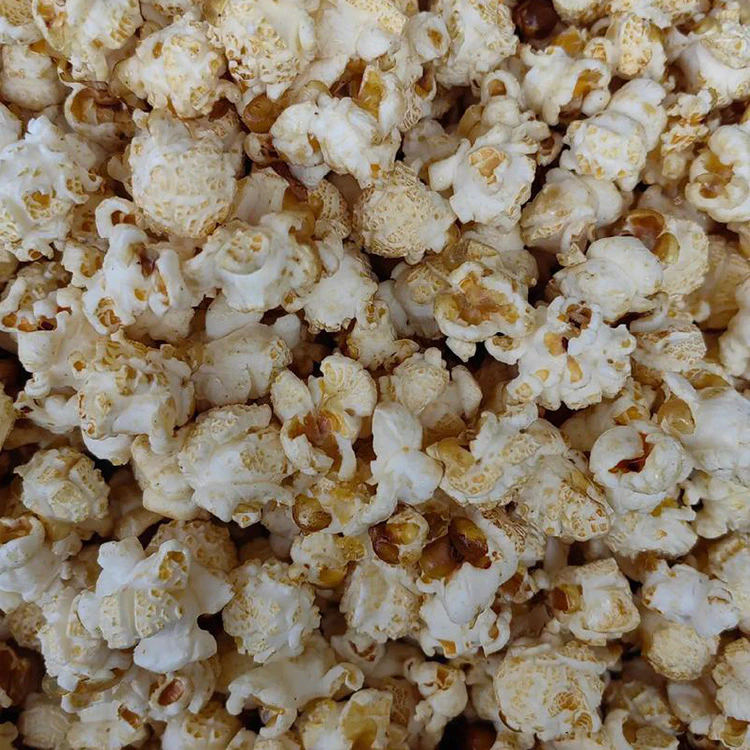 poplite popcorn maker